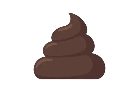 大便